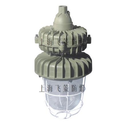 BCd59防爆無極燈 BCd59防爆無極燈